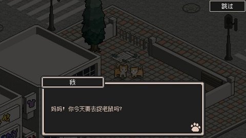 流浪猫的故事
