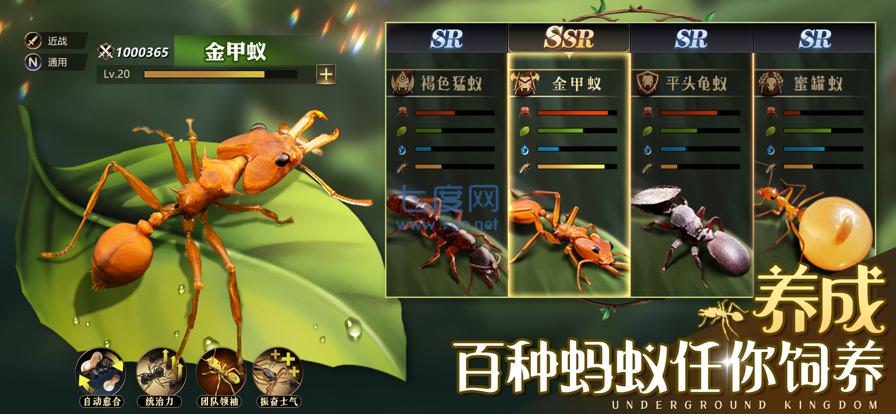 小小蚁国破解版