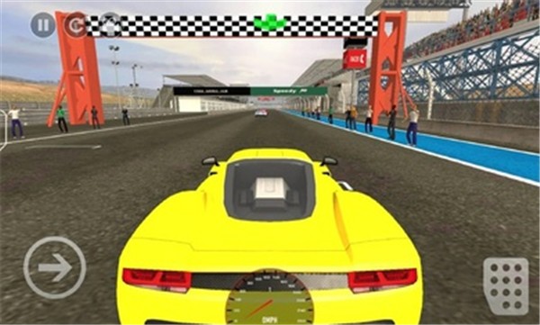 真正的赛车大师截图0