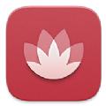 华为花粉俱乐部主题爱好者app官方版
