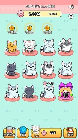 我的小猫花花 v3.0.5