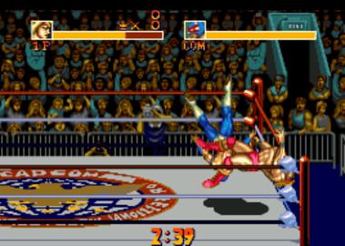 摔跤霸王2街机版  v1.0.1