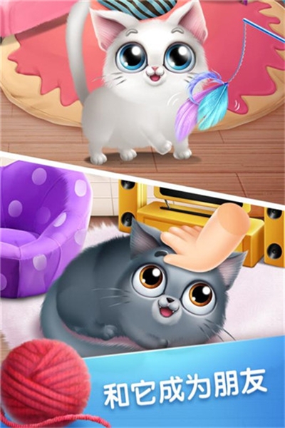口袋猫咪破解版 v1.0.4