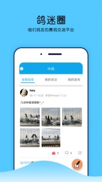 中鸽直播网截图2