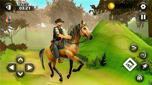 马术运动骑马Horse Simulator