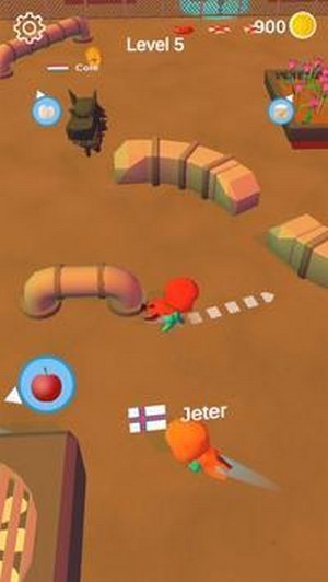 隐藏竞赛3D v1.1.205