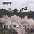 你把我家别墅炸没了动态表情包 