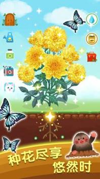 指尖花园 v3.0.5