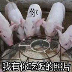 1610607483142363.jpg 1610607483142363.jpg