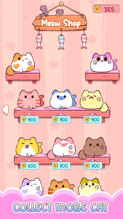 音乐猫世界 v3.0.5