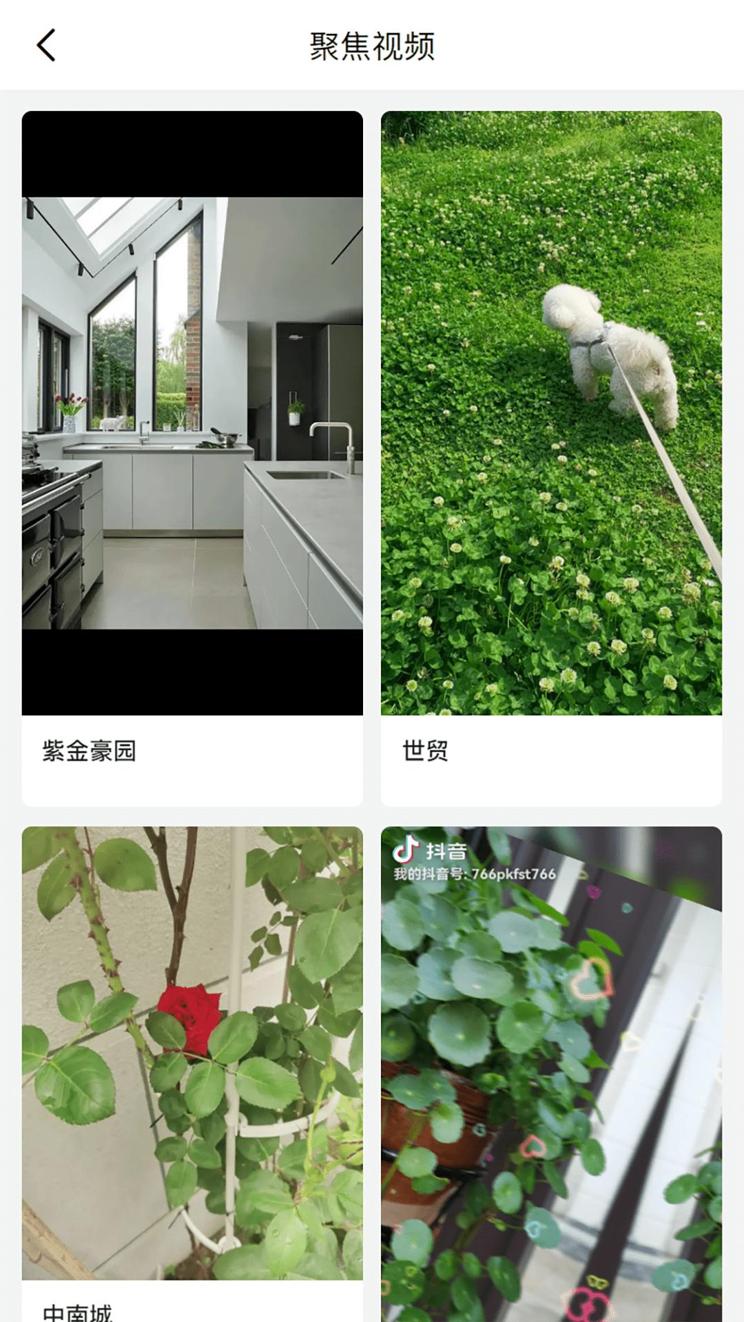 喵喵看房  v1.1