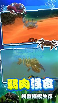 螃蟹生存模拟 v1.0.2