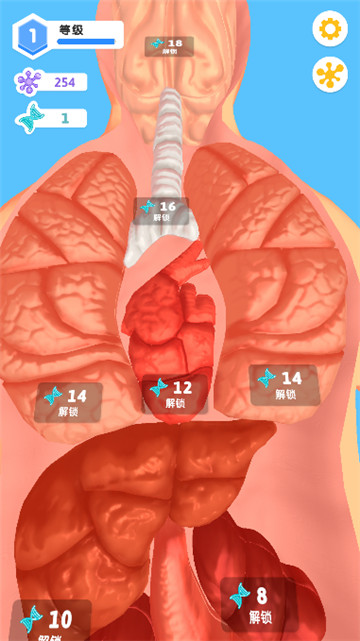 人体细胞连接 v1.0.6
