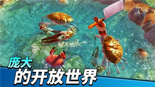 螃蟹之王2021