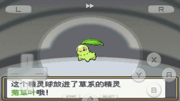 口袋妖怪心金 v3.2.5