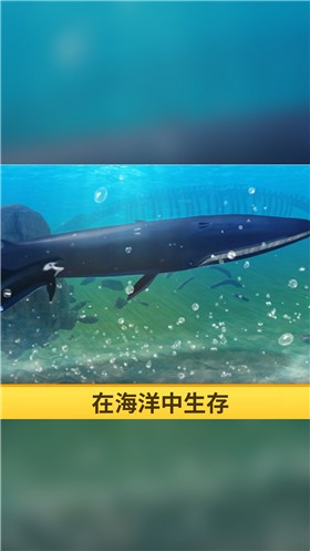 海洋3d蓝鲸模拟  v1.0.0