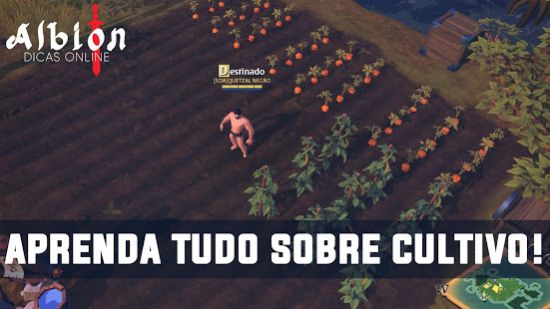 Albion Online游戏ios官方版正式版  v5.4.1