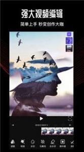 卡图视频编辑