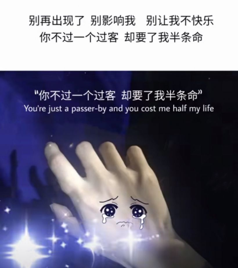 你不过是个过客却要了我半条命表情包 .jpg