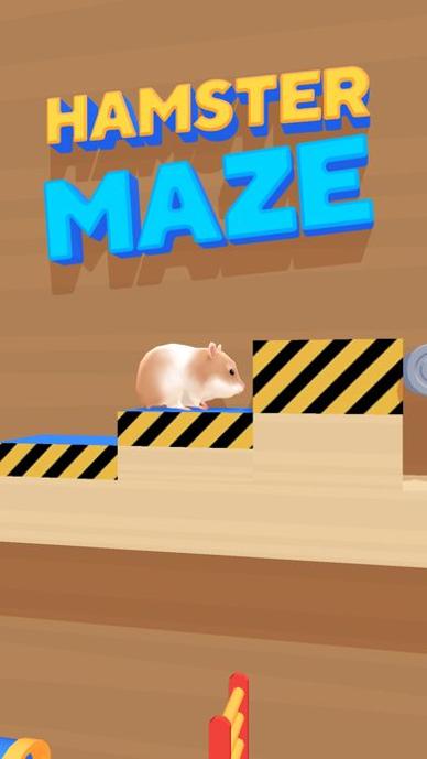 Hamster Maze.jpg Hamster Maze.jpg