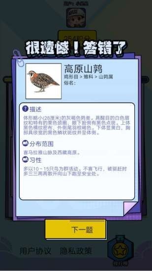 飞鸟乐园 2020-06-18 11:36