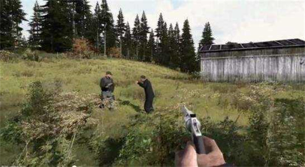 dayz中文版 v0.6