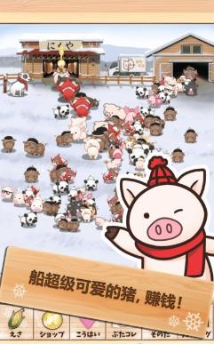 上市小猪红包版