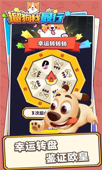 遛狗我最行 v3.2