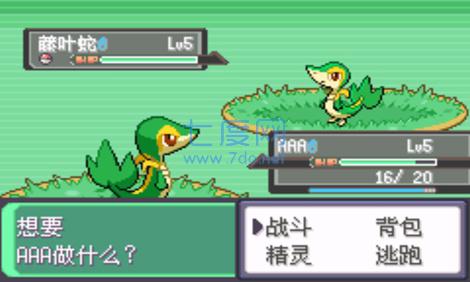 口袋妖怪漆黑的魅影1.5金手指版 v1.5