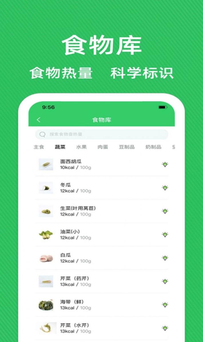 减肥营养师 v1.0