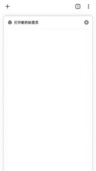 google浏览器最新版 v2.0.5