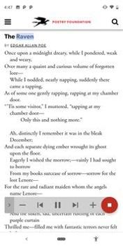 Android无障碍套件 v2.0.5