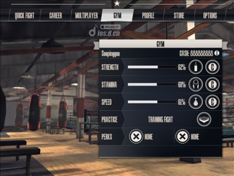 真实拳击 内购绿色版 Real Boxing v3.1.5