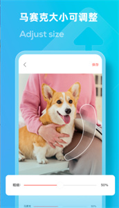 LOOX马赛克  v1.1.5
