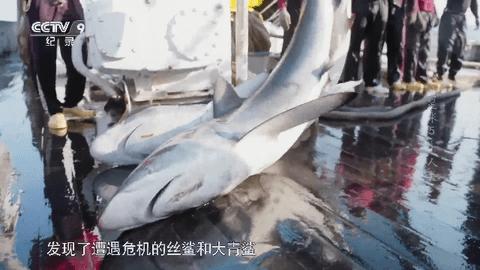 全球直播最新版本