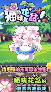 猫咪花盆截图0