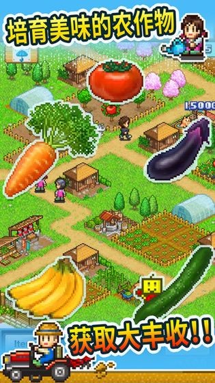 晴空农场物语汉化版  V 3.00