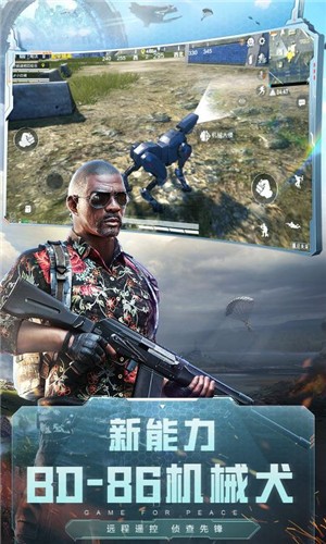 和平精英1.15.13  v1.15.13