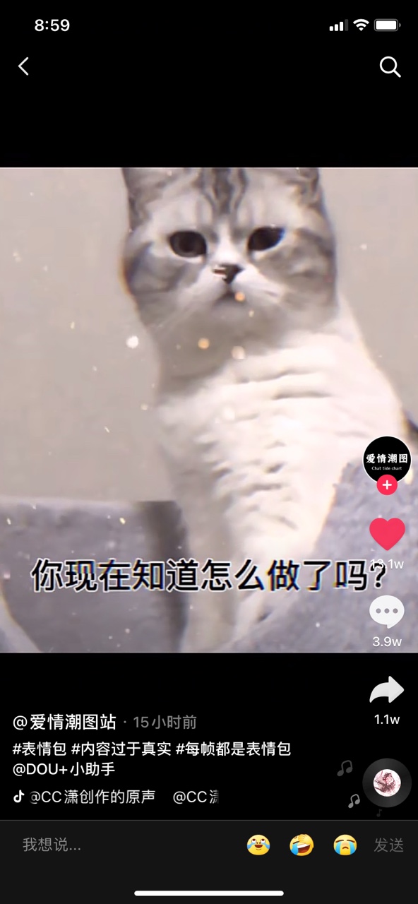 你要去睡觉你和我说晚安了吗表情包 v1.0