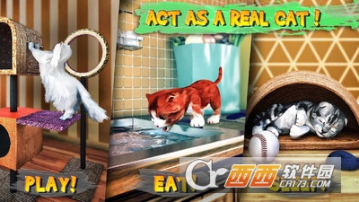 模拟猫咪Cat Simulator v2.1.1 安卓版