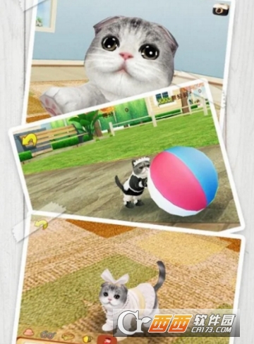 心动小猫