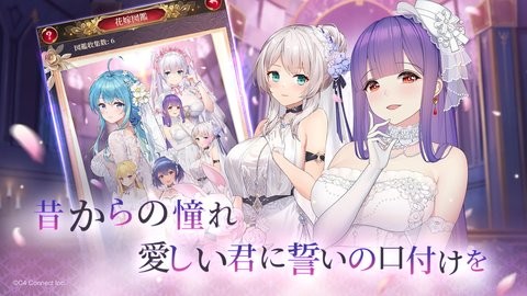 放置少女百花缭乱日服