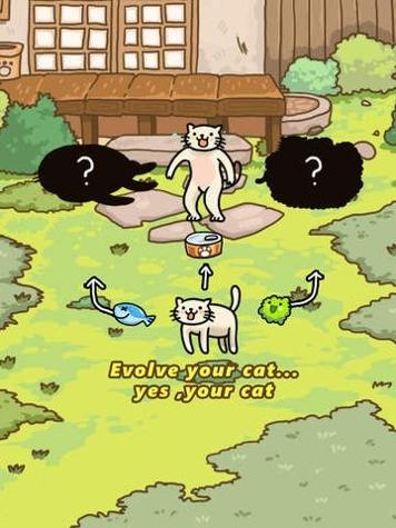 猫的进化世界 v3.0.5