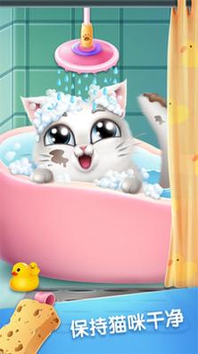 口袋猫咪 v3.0.5