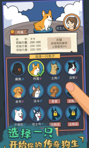 狗生模拟器 正版 v3.0.5