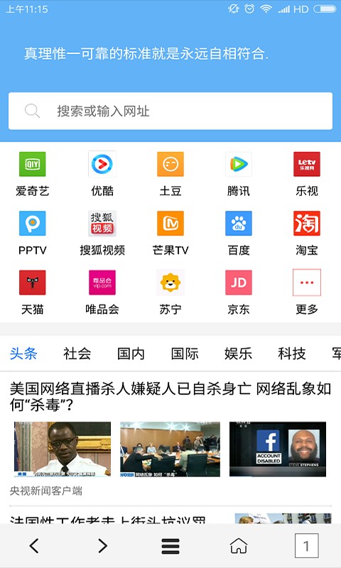 vip浏览器  v1.4.4