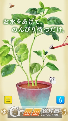 普兰兹植物培养 1.0.0 安卓版