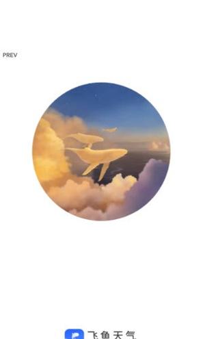 飞鱼天气预报 v1.0
