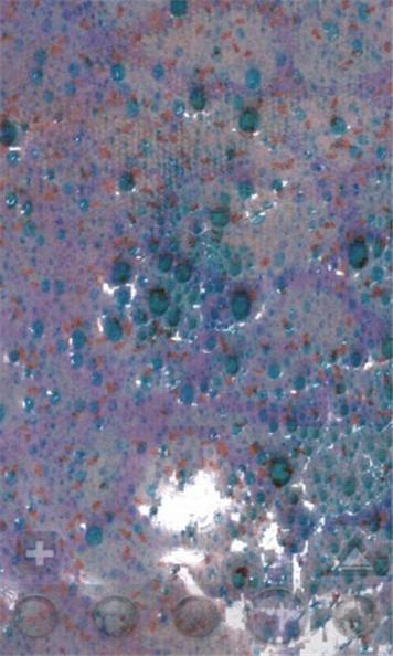 2021炫彩软泥模拟器 v1.0