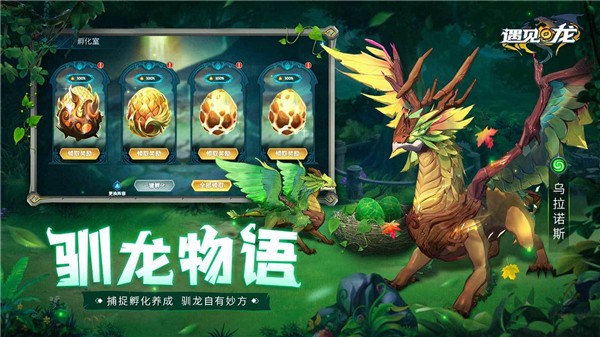 遇见龙正式版  v4.3